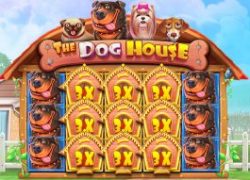 The Dog House